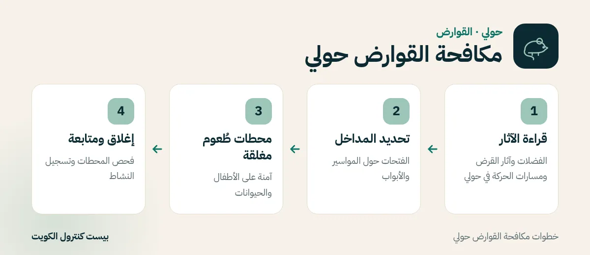 خطوات مكافحة القوارض حولي