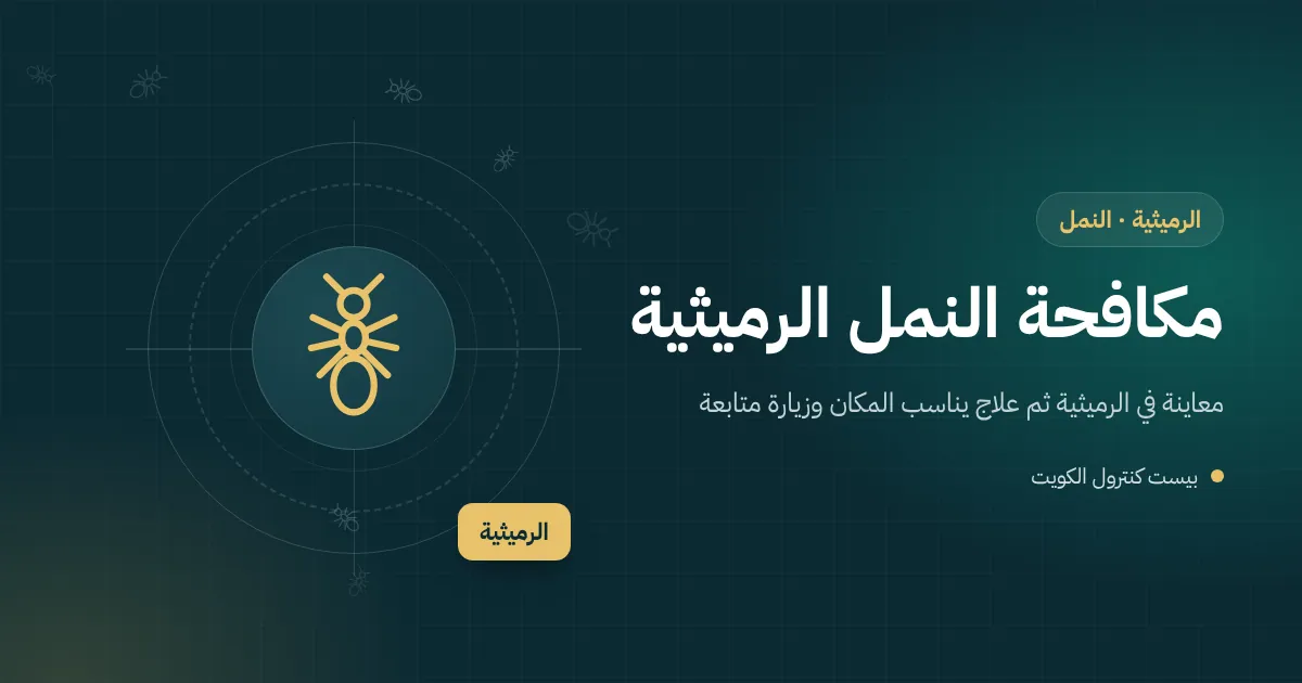 رسم توضيحي لأنفاق نمل أبيض على جدار حوش فيلا في الرميثية