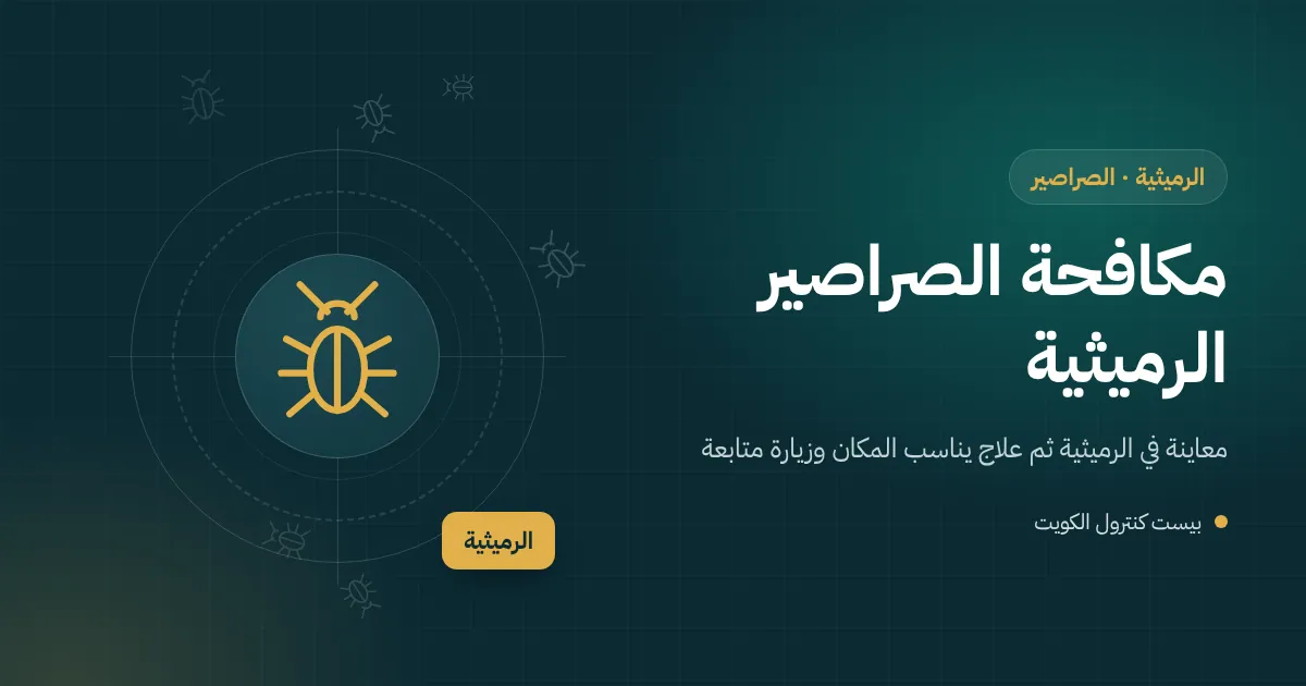 رسم توضيحي لصرصور أمريكي قرب غطاء غرفة تفتيش في حوش فيلا ساحلية بالرميثية