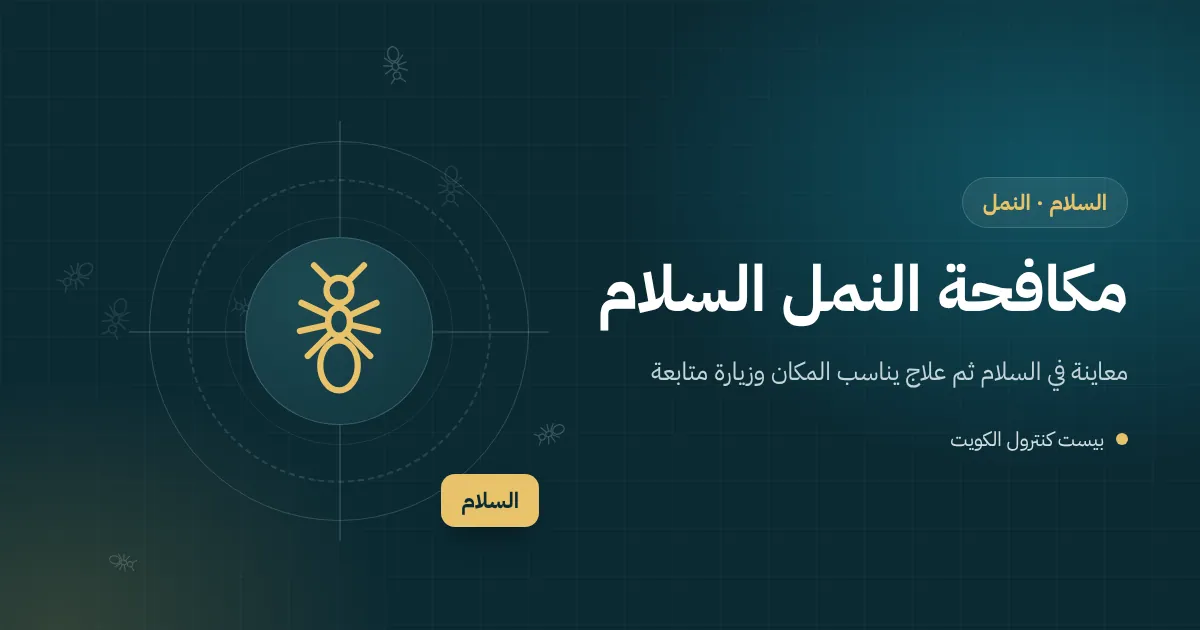 رسم توضيحي لمسار نمل يخرج من بين بلاط حديقة فيلا حديثة في السلام قرب خط ري بالتنقيط