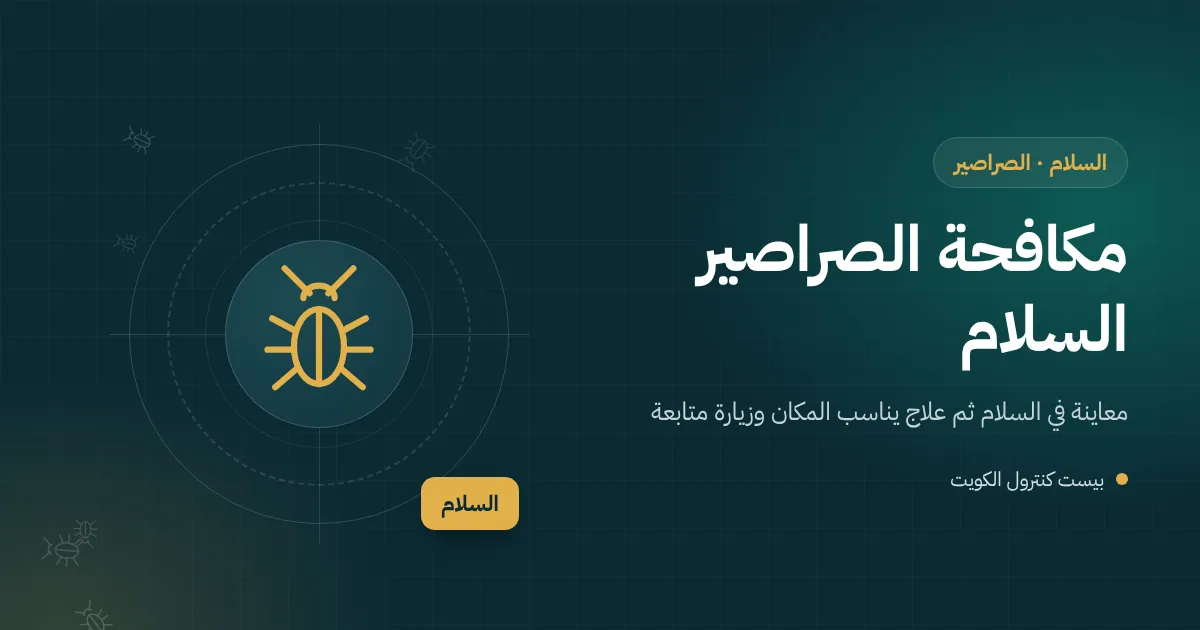 رسم توضيحي لصرصور أمريكي يخرج من غرفة تفتيش في حوش فيلا حديثة بضاحية السلام