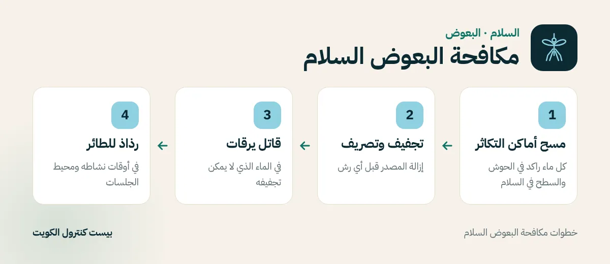 خطوات مكافحة البعوض السلام