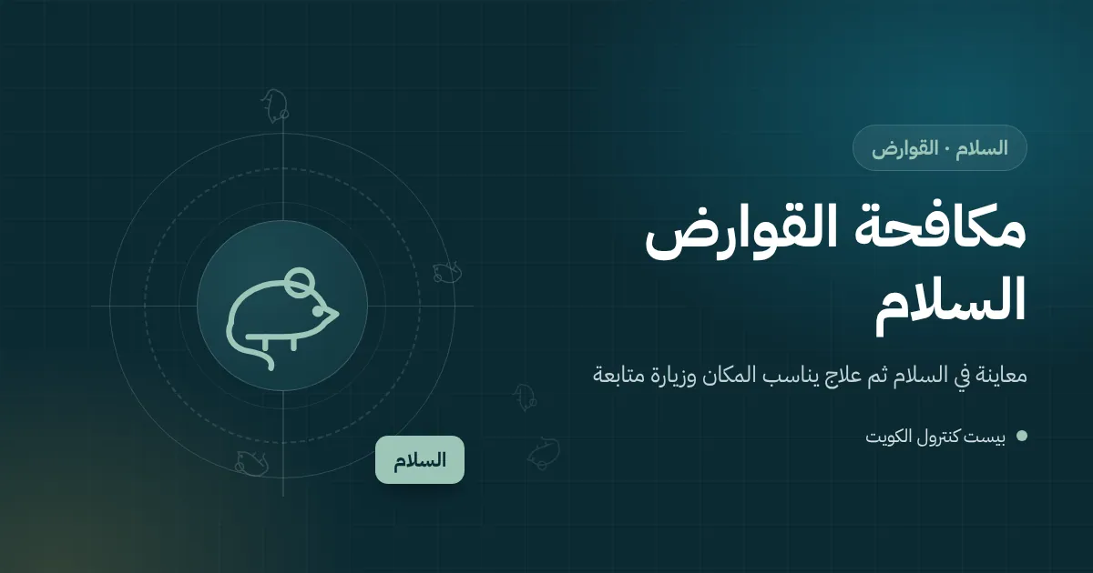 رسم توضيحي لجرذ يقترب من سور فيلا في ضاحية السلام بجوار موقع بناء ومحطة طُعوم مقفلة