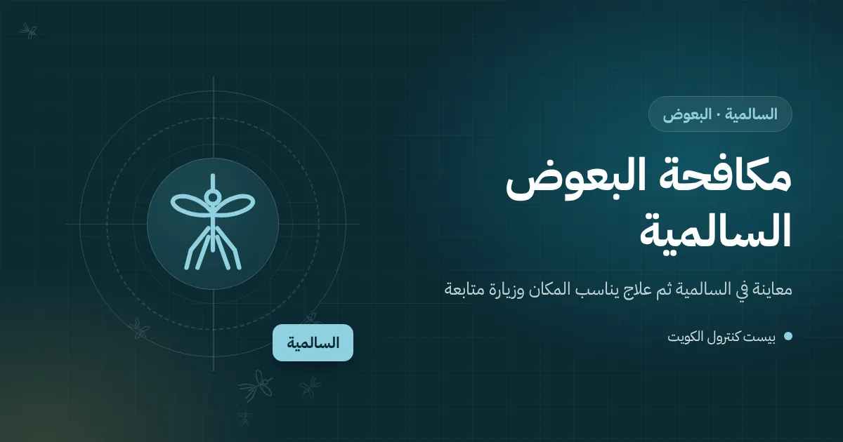 رسم توضيحي لبعوضة قرب جلسة خارجية لمقهى على الواجهة البحرية في السالمية