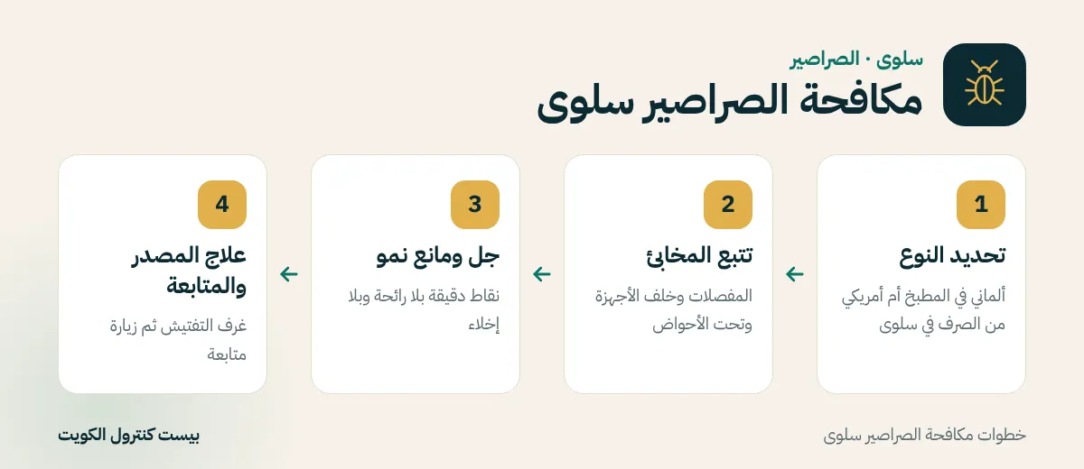 خطوات مكافحة الصراصير سلوى
