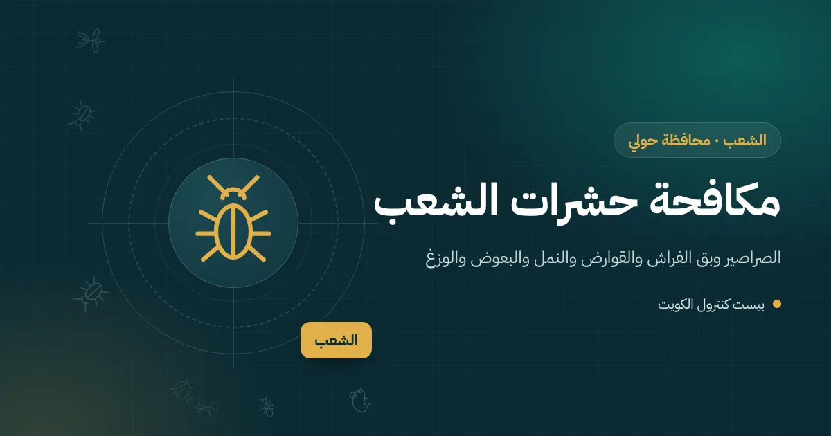 رسم توضيحي لمنطقة ساحلية صغيرة في الشعب ببيوت وعمارات سكنية وفني مكافحة أمام مدخل بناية