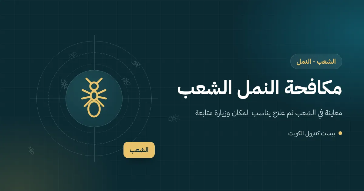 رسم توضيحي لطابور نمل صغير يخرج من مقبس كهربائي في مطبخ شقة بمنطقة الشعب
