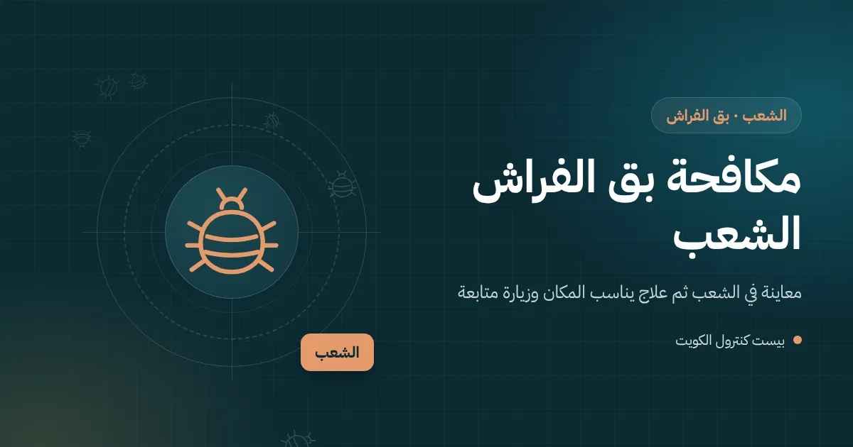 رسم توضيحي لشقة مؤجرة في الشعب بسرير وكنبة وفني يفحص درزات المرتبة بحثًا عن بق الفراش