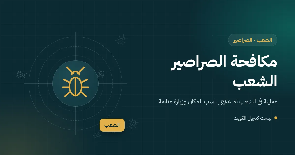رسم توضيحي لمقطع عمارة سكنية في الشعب يظهر عمود صرف مشترك وصراصير تصعد إلى مطابخ الشقق