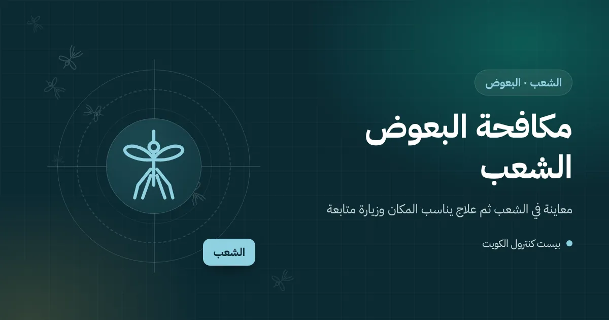 رسم توضيحي لسطح عمارة في الشعب بخزانات ماء ووحدات تكييف ومصرف مسدود يتكاثر فيه البعوض