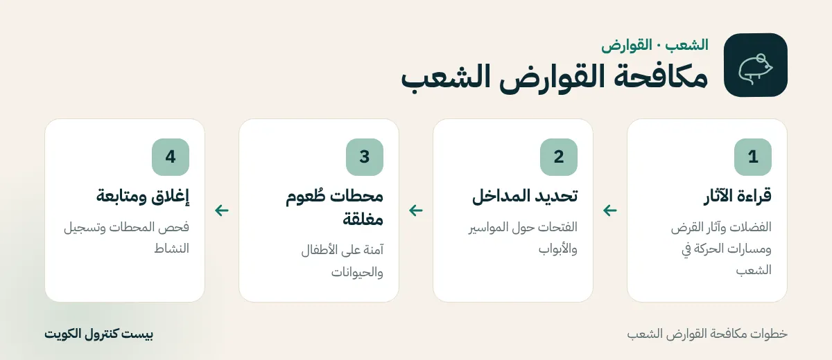خطوات مكافحة القوارض الشعب