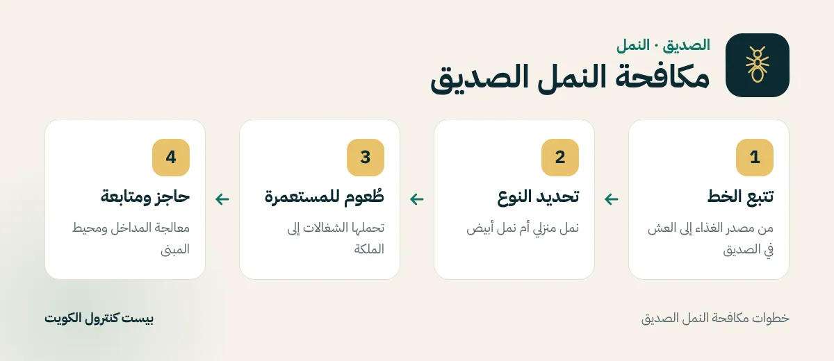 خطوات مكافحة النمل الصديق