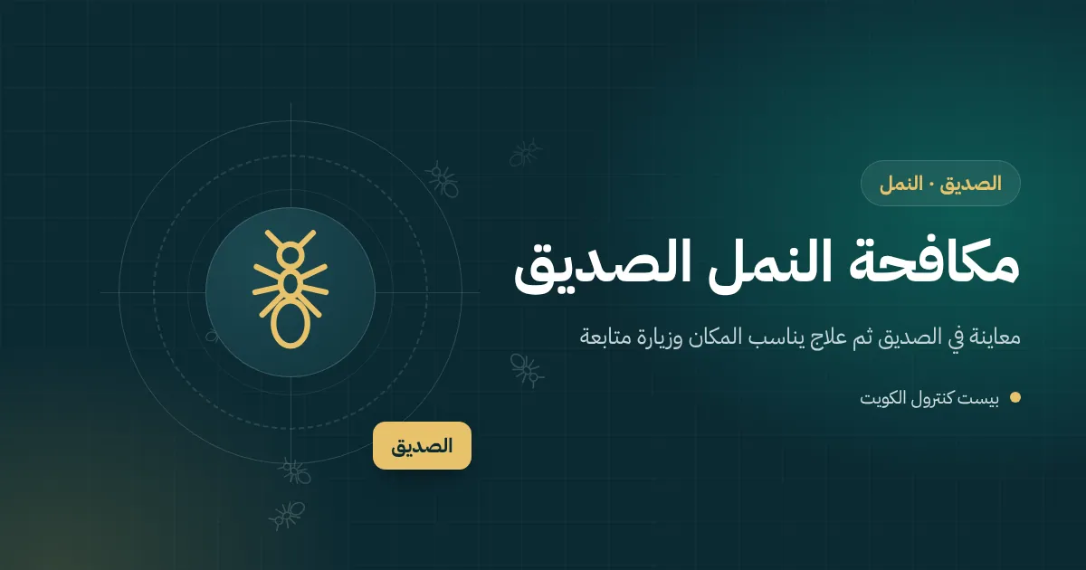 رسم توضيحي لأنفاق نمل أبيض طينية على جدار سرداب فيلا في الصديق وفني يفحص إطار باب خشبي