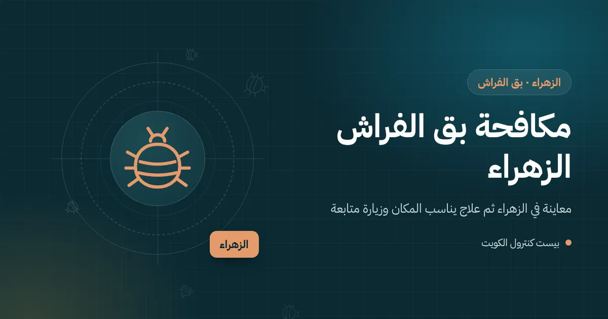 رسم توضيحي لحقائب سفر مخزنة في غرفة سطح فيلا بالزهراء وفني يفحص درزاتها بحثًا عن بق الفراش