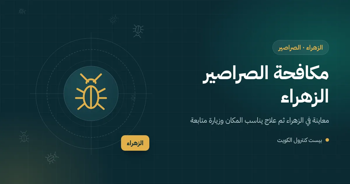رسم توضيحي لصرصور يخرج من بالوعة سطح فيلا في الزهراء بجوار خزان ماء ووحدة تكييف