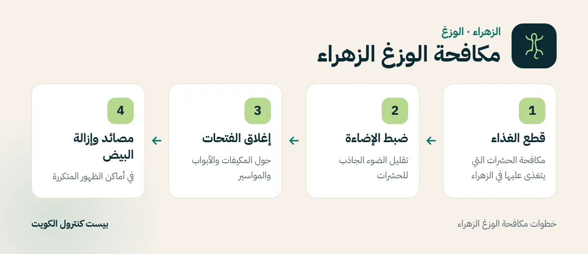 خطوات مكافحة الوزغ الزهراء