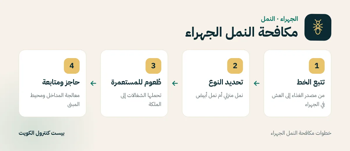 خطوات مكافحة النمل الجهراء
