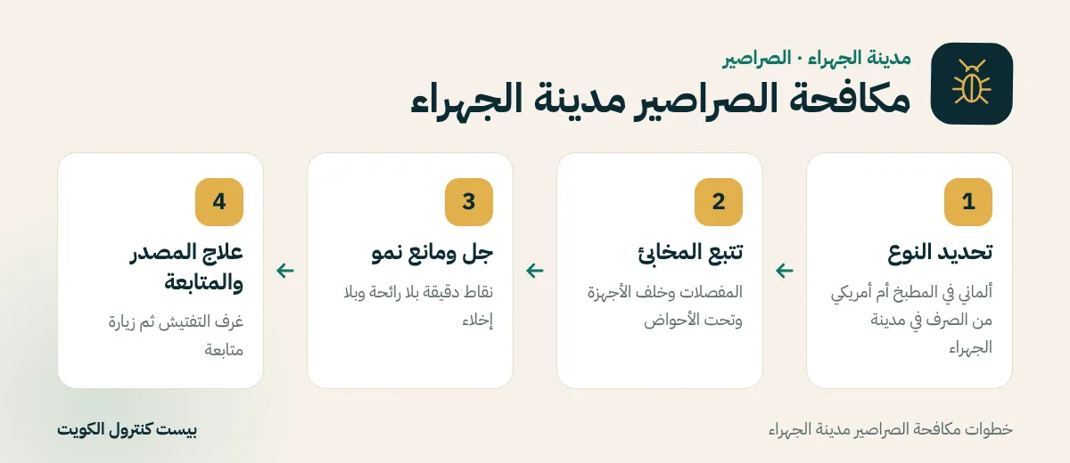 خطوات مكافحة الصراصير مدينة الجهراء