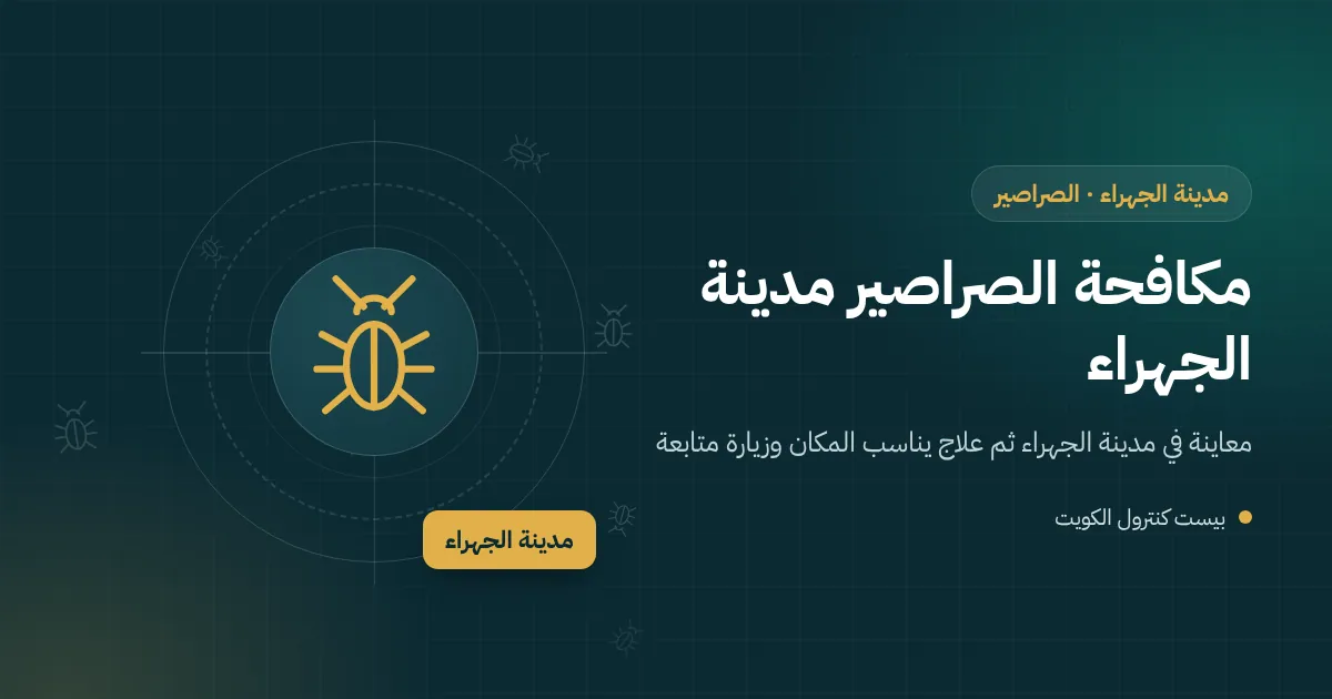 رسم توضيحي لغطاء غرفة تفتيش قديم في حوش بيت بمدينة الجهراء وصرصور أمريكي يخرج منه