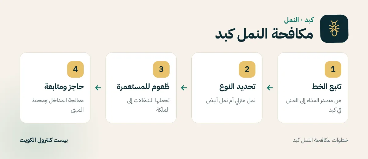 خطوات مكافحة النمل كبد