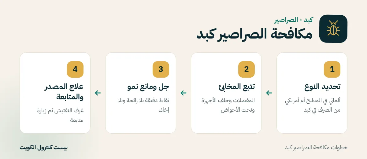 خطوات مكافحة الصراصير كبد