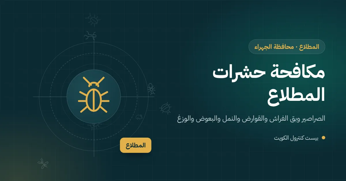 رسم توضيحي لبيت جديد مضاء في المطلاع بجواره قسيمة قيد الحفر وأرض رملية مفتوحة