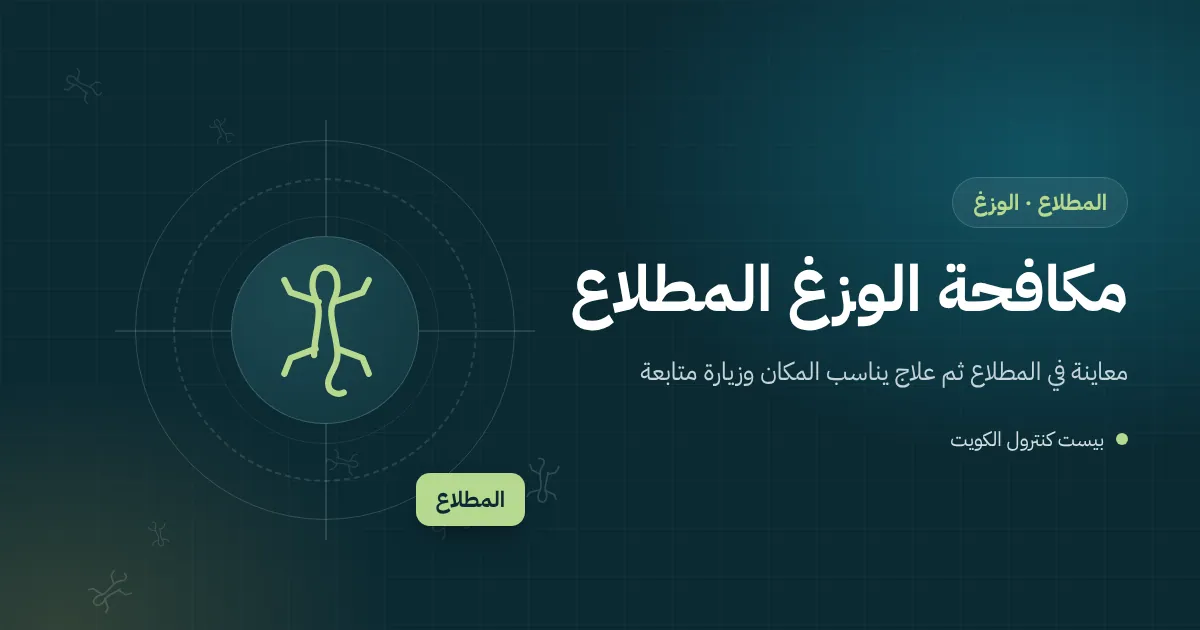رسم توضيحي لبيت مضاء ليلًا في المطلاع تحيط به قسائم مظلمة ووزغ على السور قرب مصباح