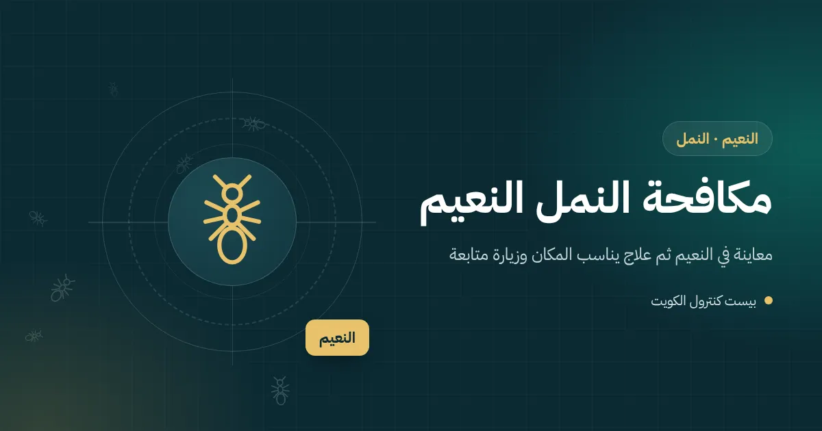 رسم توضيحي لطابور نمل يتجه نحو صينية تمر في ديوانية ببيت في النعيم