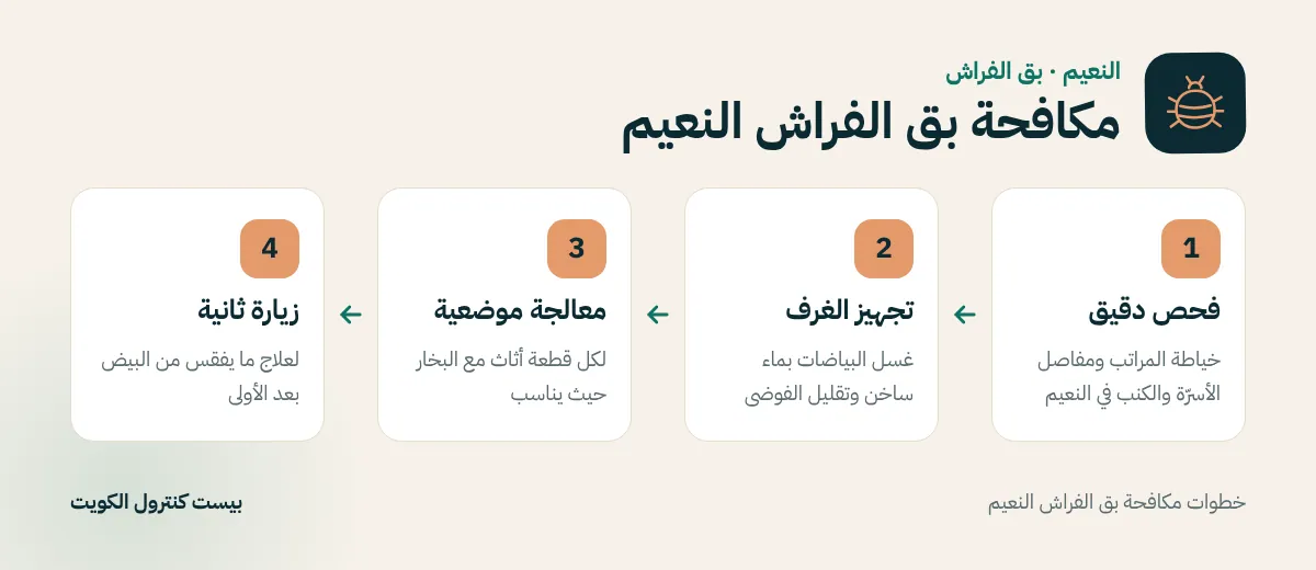 خطوات مكافحة بق الفراش النعيم