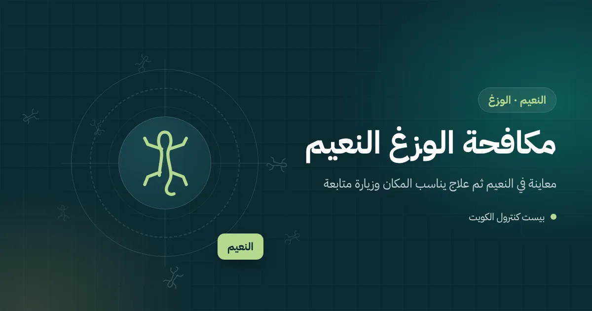 رسم توضيحي لجدار ديوانية مضاء في النعيم يتجمع حوله الفراش ووزغ قرب المصباح