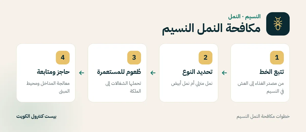 خطوات مكافحة النمل النسيم