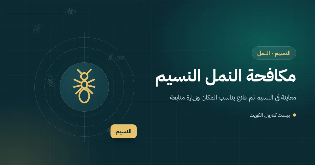 رسم توضيحي لسرب نمل مجنح يخرج من إطار نافذة في بيت بالنسيم في الربيع وفني يفحص الإطار