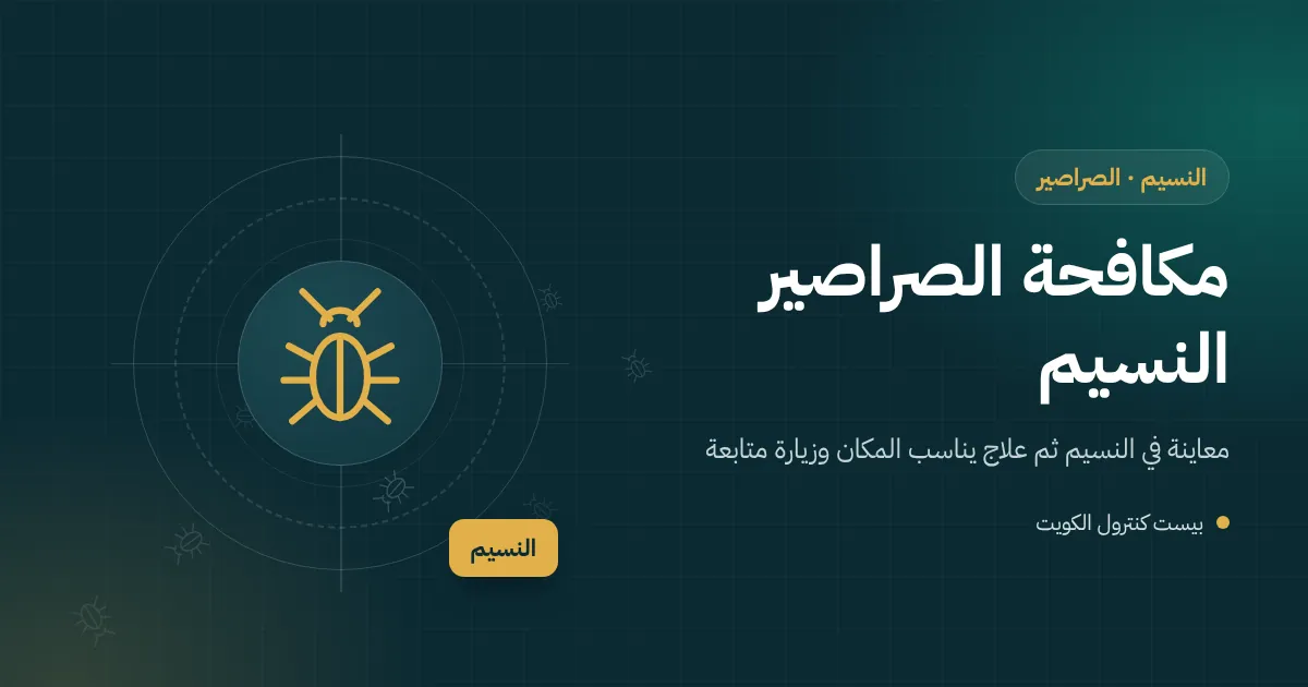 رسم توضيحي لمصرف حمام في بيت بالنسيم وشمس صيف حارقة في الخارج وصرصور يصعد من البالوعة