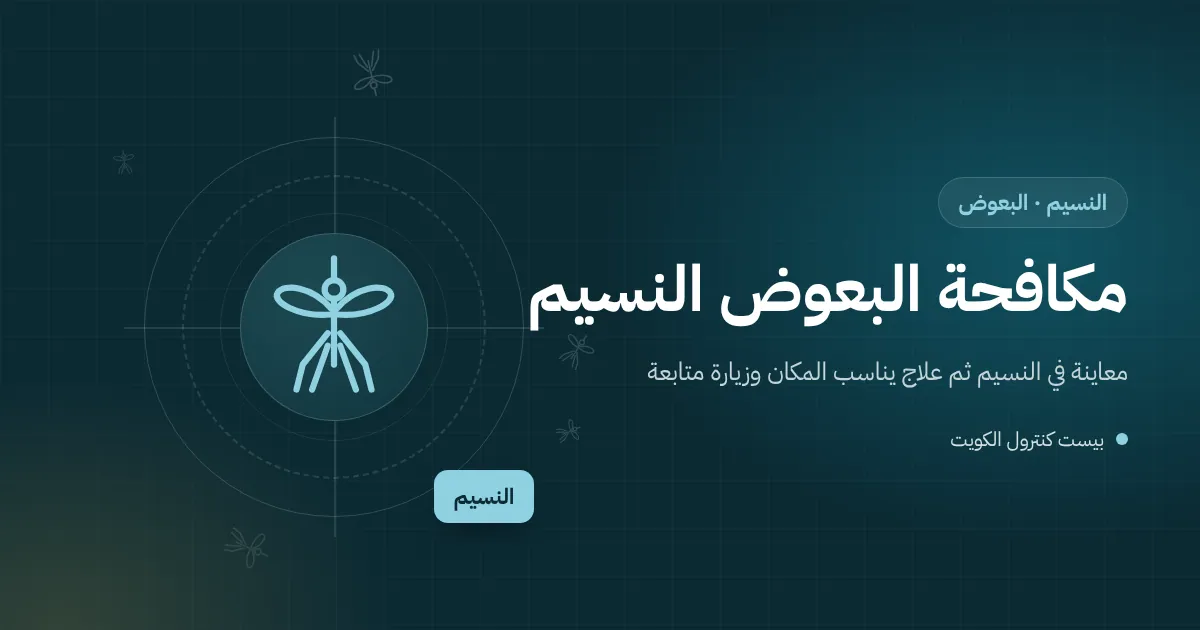 رسم توضيحي لسطح بيت في النسيم بعد المطر فيه ماء متجمع حول مصرف مسدود ويرقات بعوض