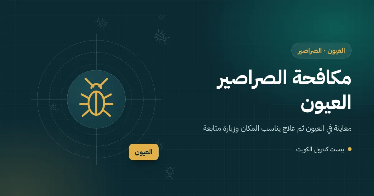 رسم توضيحي لحوش بيت في العيون فيه أحواض زرع وغطاء غرفة تفتيش وفني يعالج المصرف