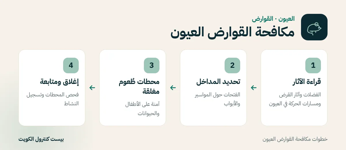 خطوات مكافحة القوارض العيون