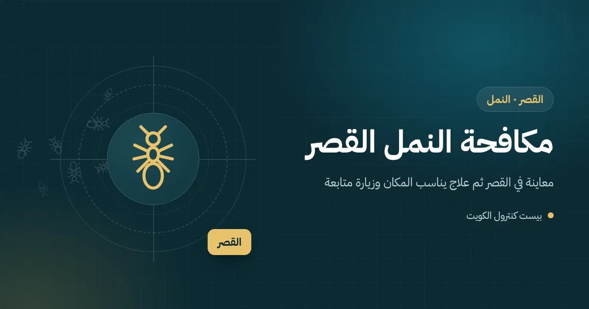رسم توضيحي لطابور نمل يخرج من مقبس قرب مغسلة مطبخ في طابق علوي ببيت في القصر