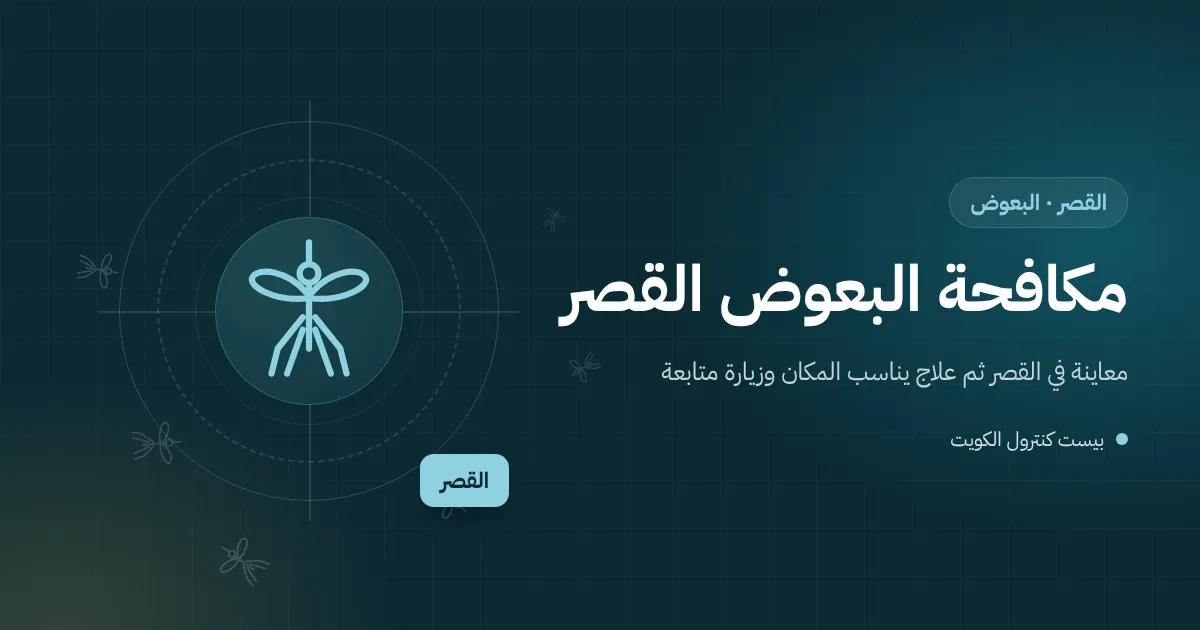 رسم توضيحي لسطح بيت كبير في القصر عليه خزانات ماء ووحدات تكييف وماء تكثيف متجمع وبعوض فوقه