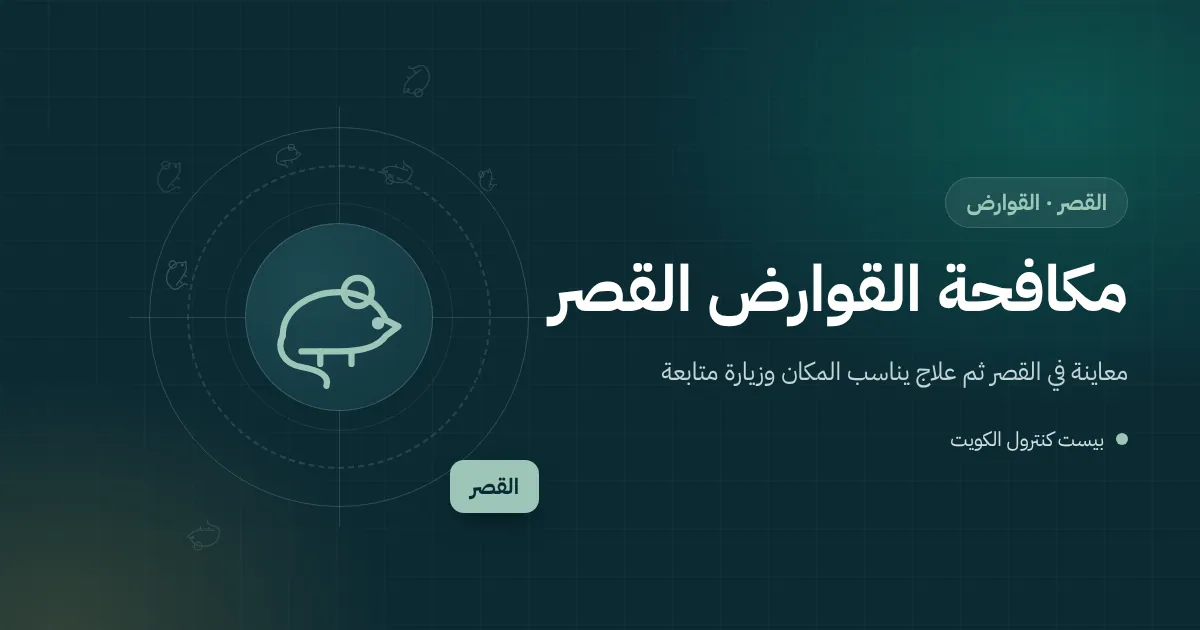 رسم توضيحي لغرفة تخزين على سطح بيت في القصر فيها كراتين وأثاث قديم ومصيدة قوارض عند الجدار