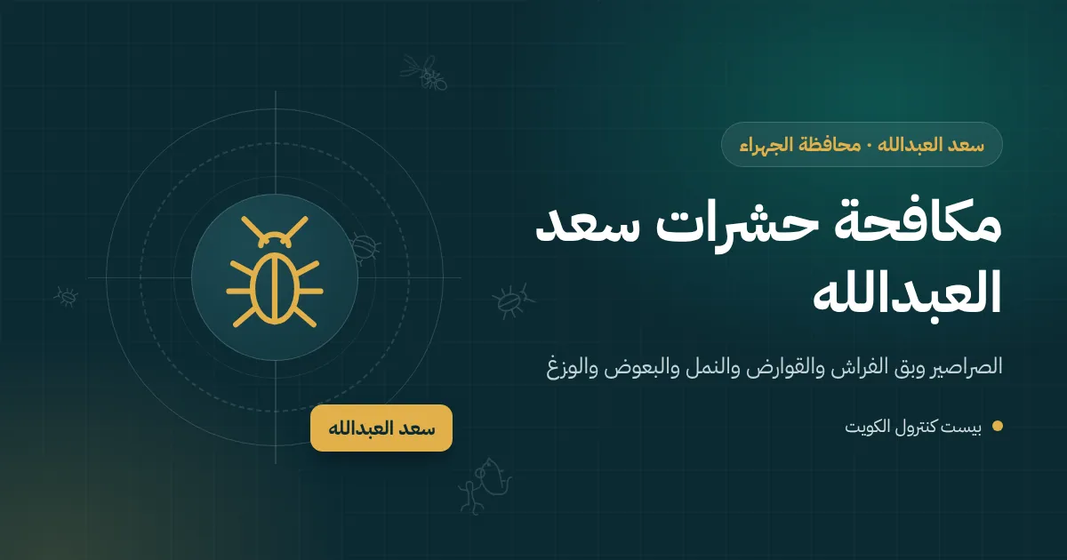 رسم توضيحي لصف بيوت متجاورة في سعد العبدالله بأسوار خلفية متقابلة وفني يعالج غرفة تفتيش