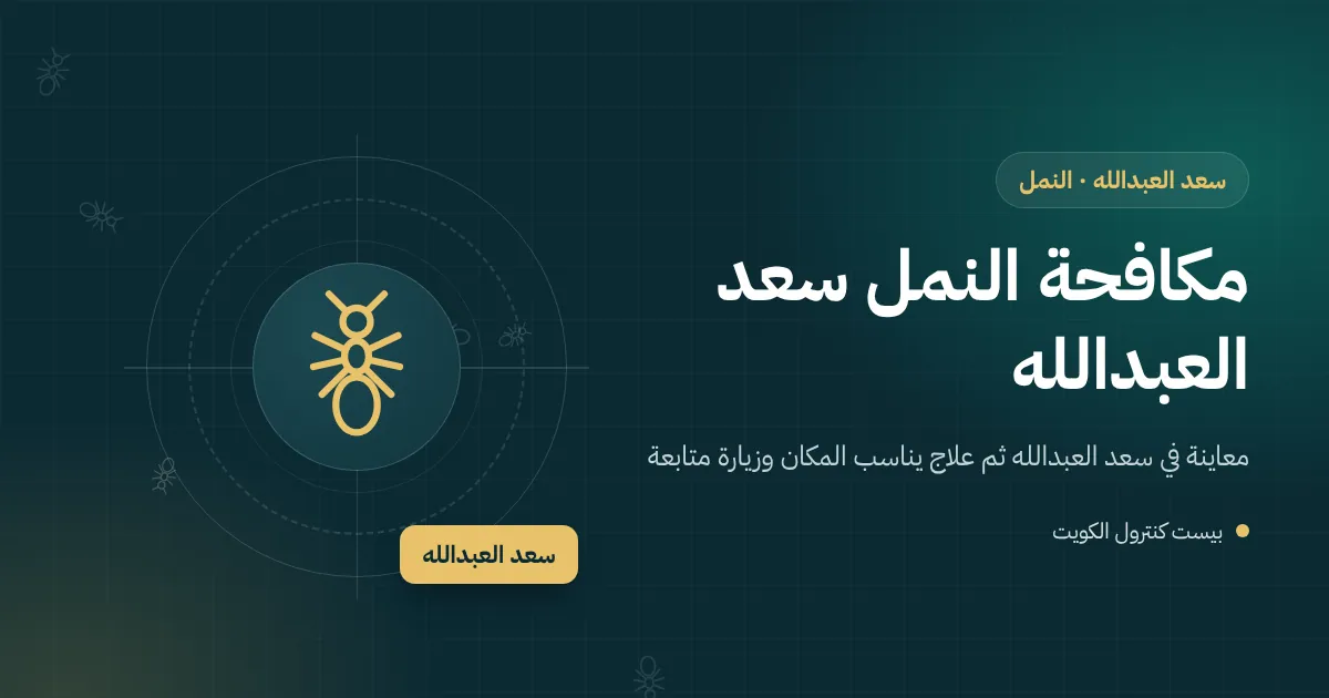 رسم توضيحي لأكوام رمل صغيرة بين حجارة انترلوك في حوش بيت بسعد العبدالله وطابور نمل