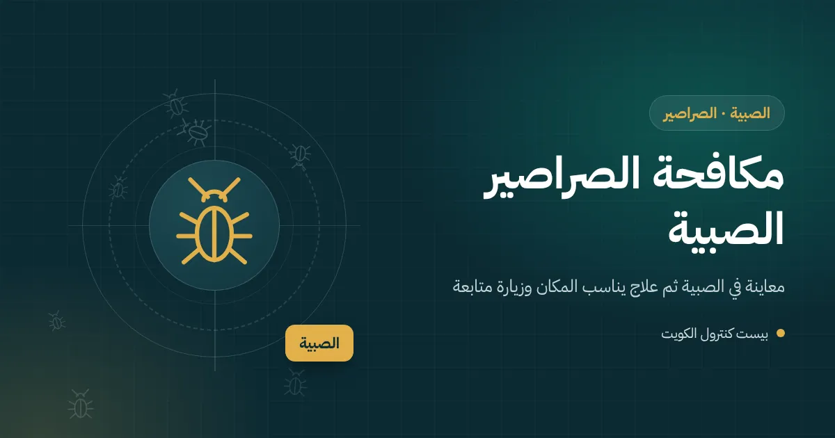 رسم توضيحي لحمام شاليه على ساحل الصبية بعد إغلاق طويل وصرصور يخرج من بالوعة جافة