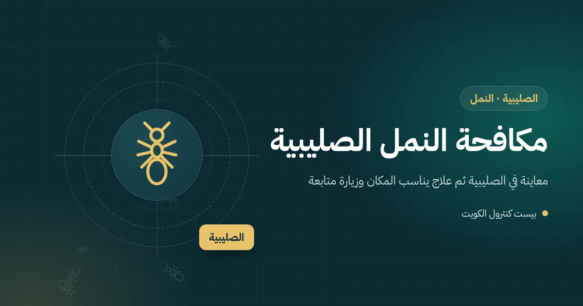 رسم توضيحي لخط نمل يمتد من حوش ترابي في الصليبية إلى كيس علف داخل مخزن صغير