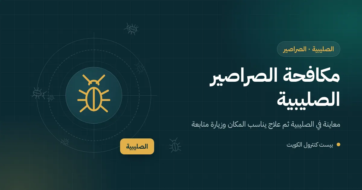 رسم توضيحي لغرفة تفتيش مفتوحة في حوش بيت بالصليبية وفني يرش جدرانها الداخلية