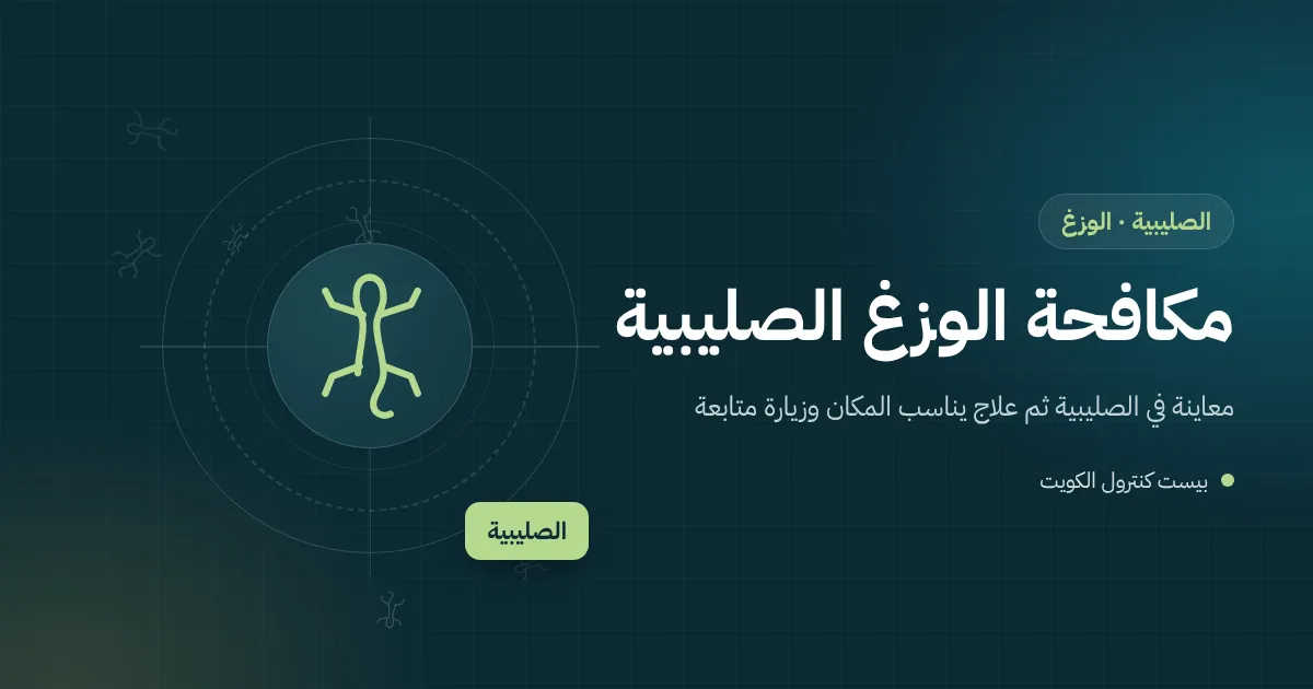 رسم توضيحي لوزغ على سور بيت في الصليبية تحت مصباح تجتمع حوله حشرات قادمة من أرض مفتوحة