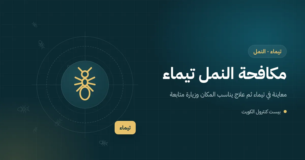 رسم توضيحي لطابور نمل يخرج من شق عند التقاء البلاط بالجدار في بيت قديم بتيماء