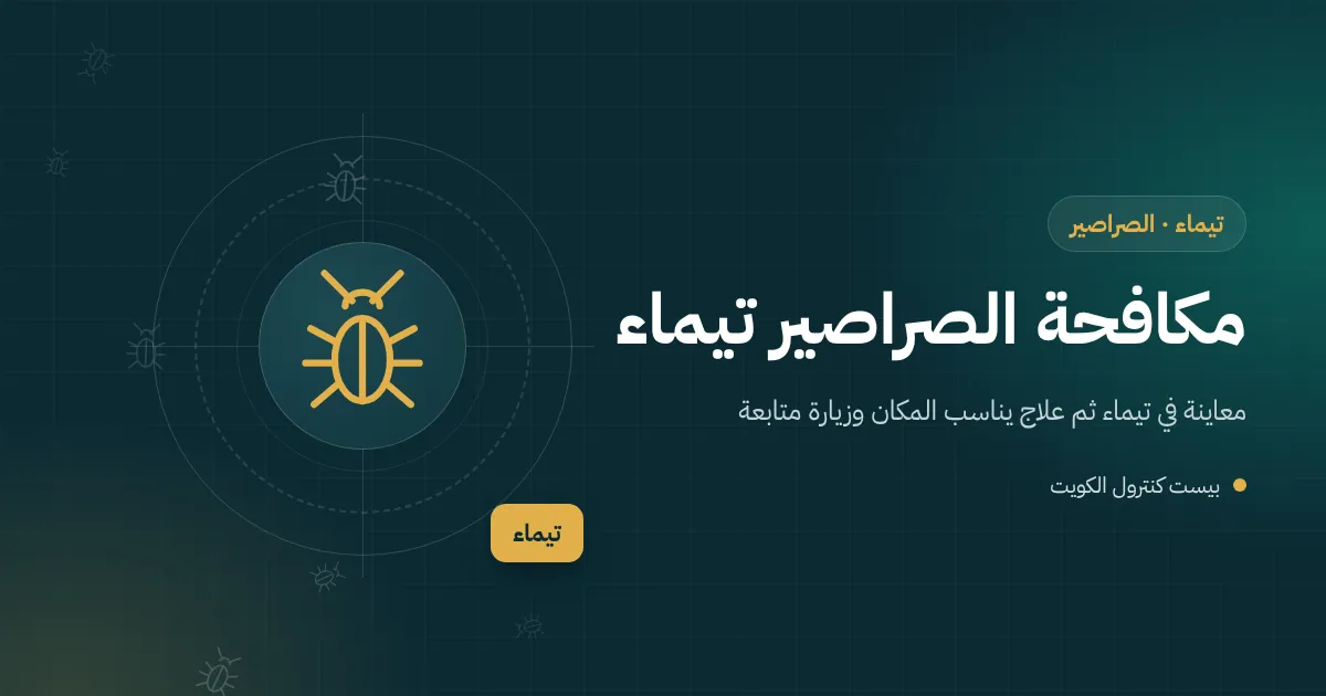 رسم توضيحي لمصرف أرضي مكسور في حمام بيت قديم بتيماء يخرج منه صرصور