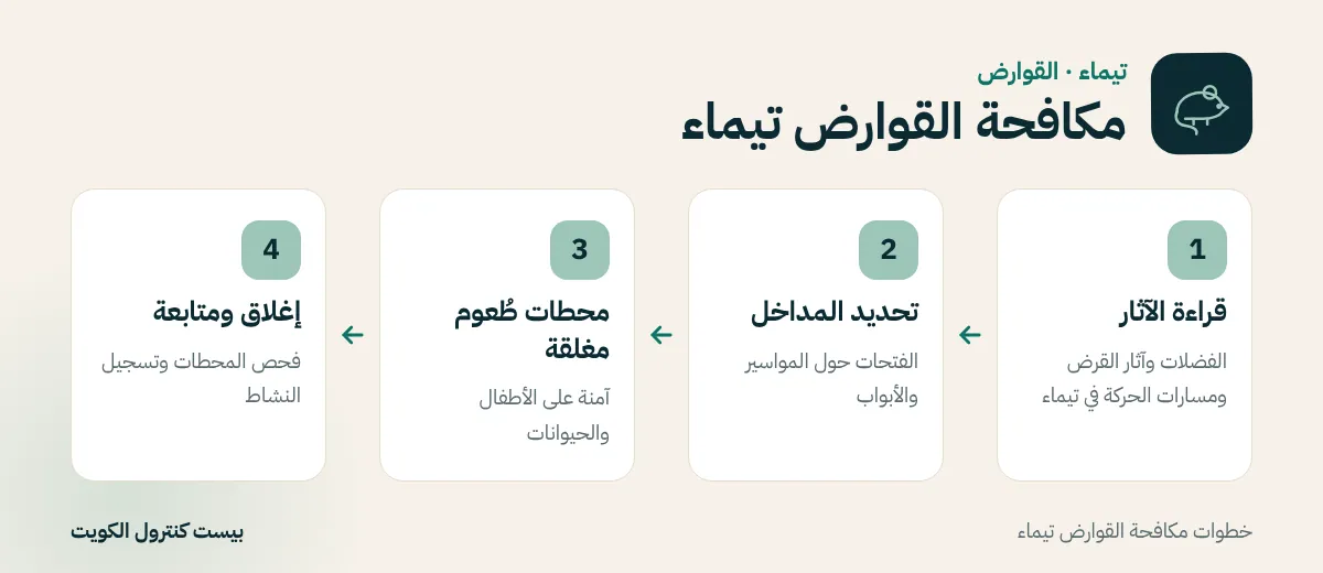 خطوات مكافحة القوارض تيماء