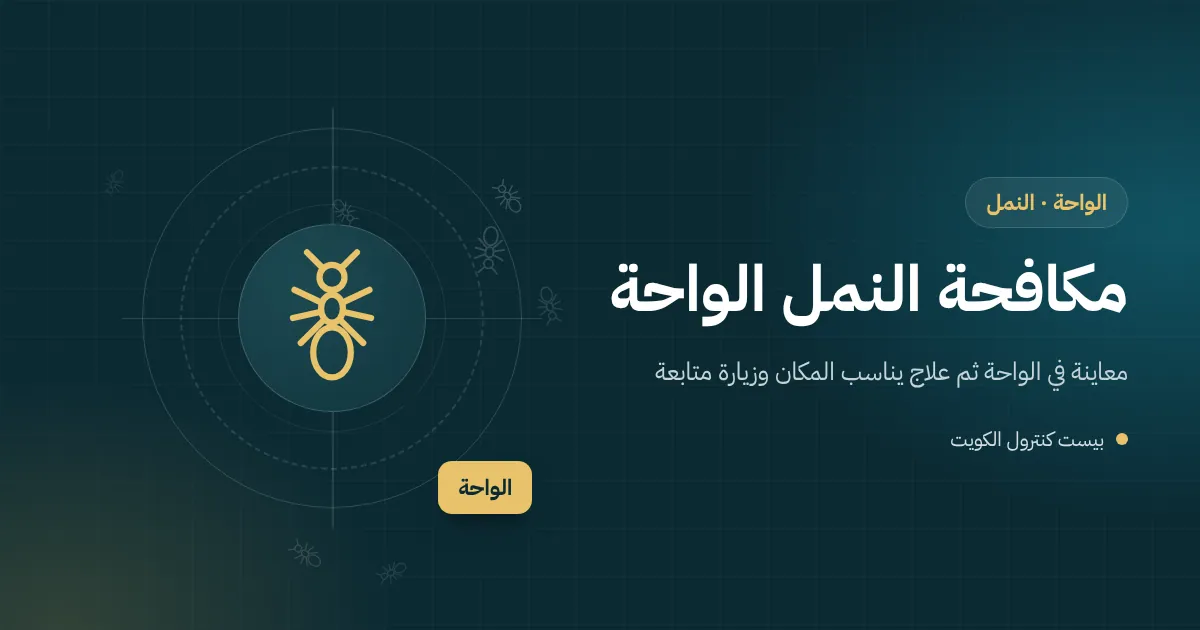 رسم توضيحي لأسراب نمل مجنحة تخرج من شق في جدار حوش بالواحة بعد المطر