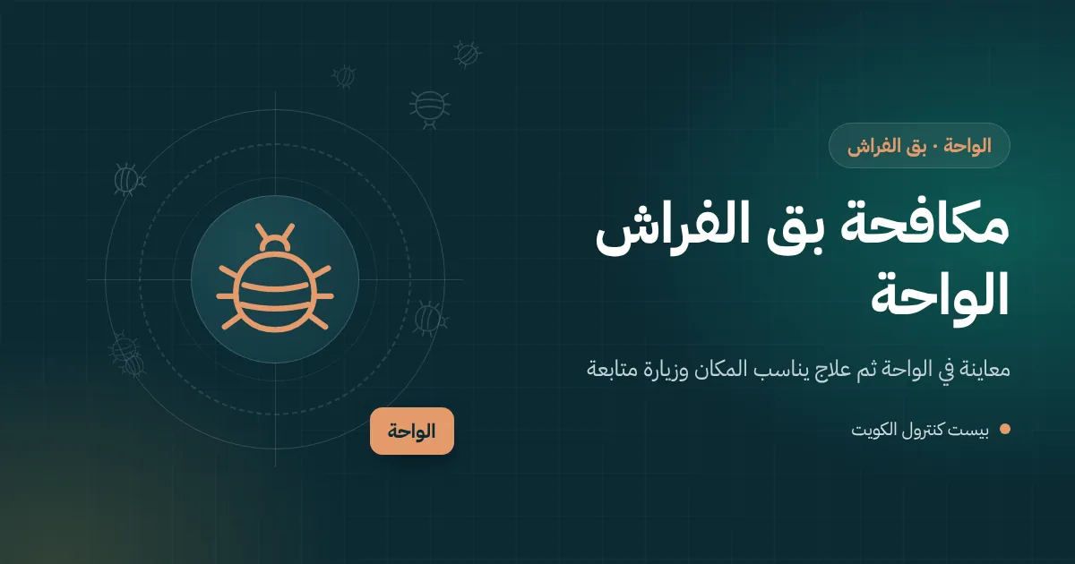 صورة فنية لفني يفحص بمصباح خياطة حقيبة عائدة من إجازة الصيف في غرفة نوم بالواحة
